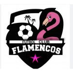 LOGOFLAMINGOS